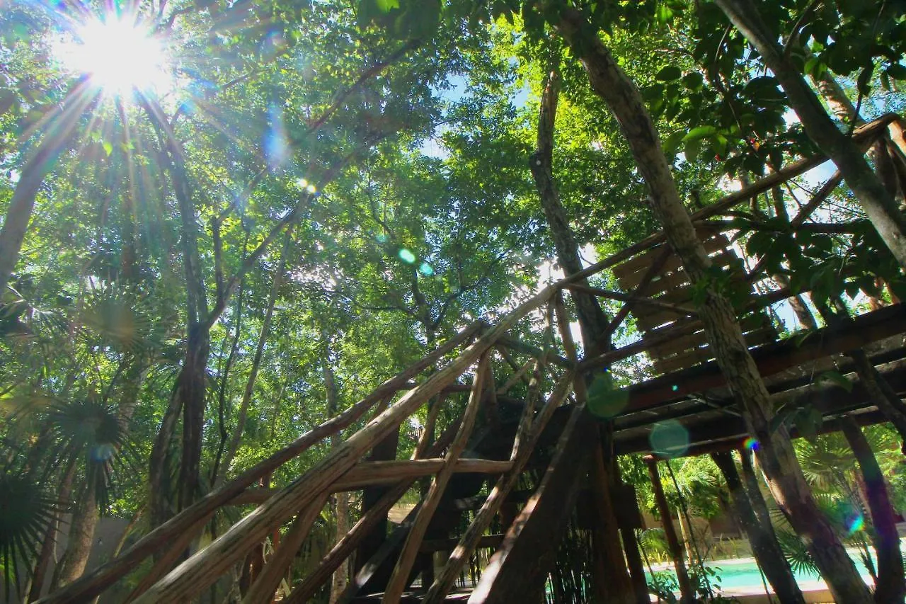 Xan Ha Apartments Tulum Appart hôtel